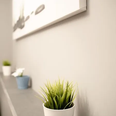 Apartamento Luxury Down Town