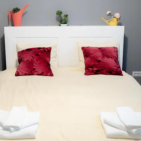 Apartment Luxury Down Town