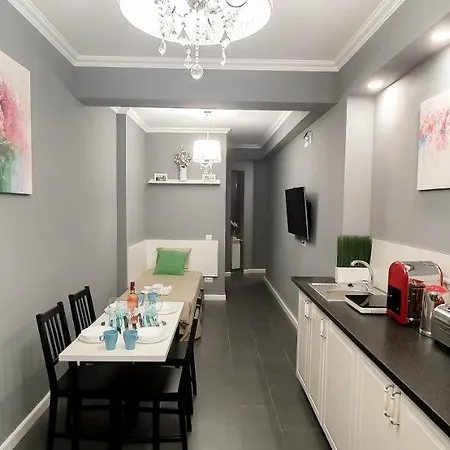 Luxury Down Town Apartment *