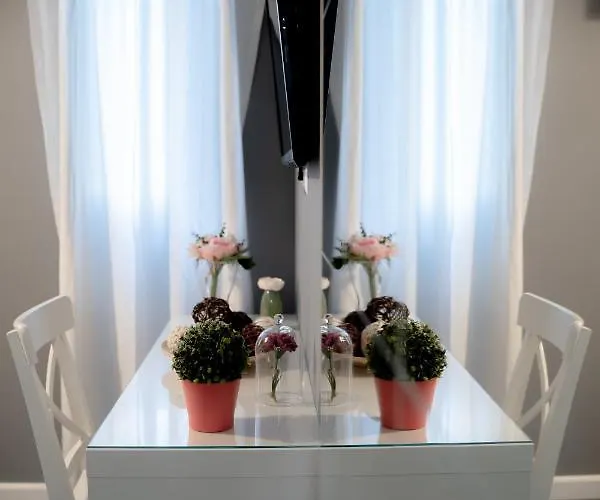 Luxury Down Town Apartament